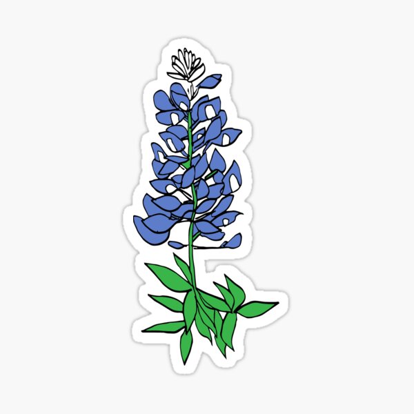 Bluebonnet Sticker