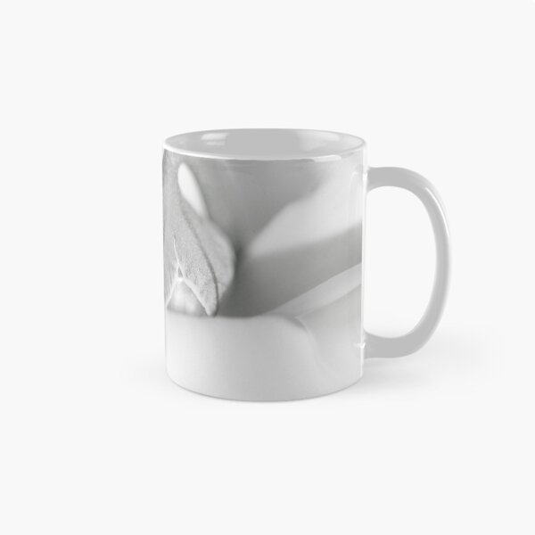 Item preview, Shy. designed and sold by Paul Pasco.