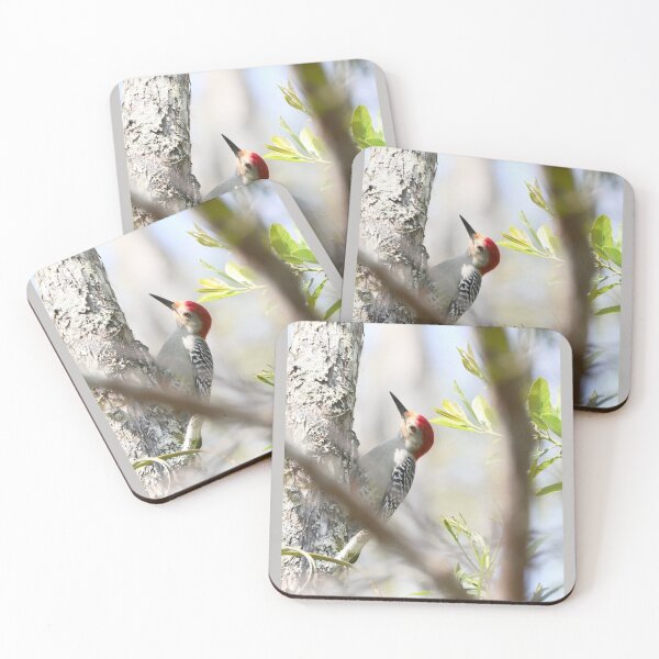 Item preview, Red-bellied Woodpecker designed and sold by 2CrabbySisters.