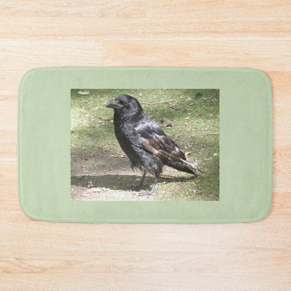 Item preview, Carrion Crow in the Sunshine Photograph designed and sold by naturegallery.