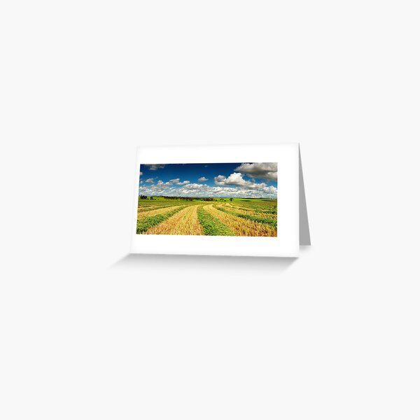 Fresh cut hay Greeting Card