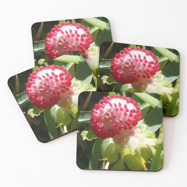 Item preview, My Strawberry Resolution designed and sold by Mark Polk.