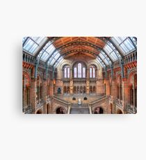 Natural History Museum - HDR Canvas Print