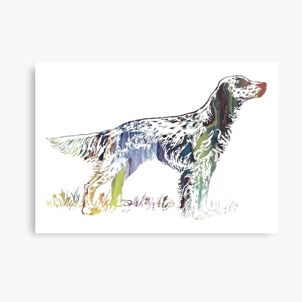 English setter Metal Print