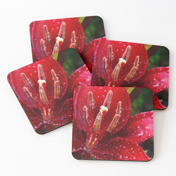 Item preview, Ruby Rapture designed and sold by Kathilee.