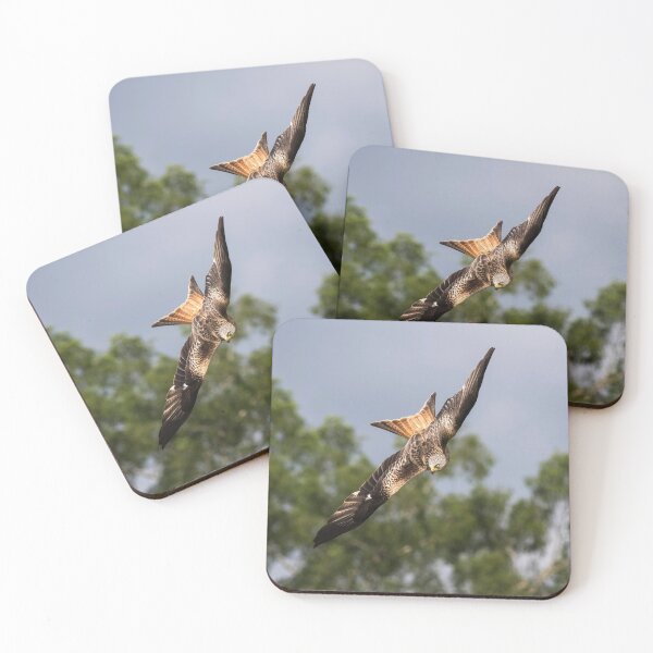 Item preview, Wild Red Kite Diving designed and sold by Glenn Welch.