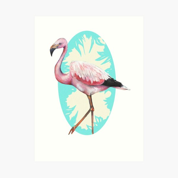 Andean Flamingo Art Print