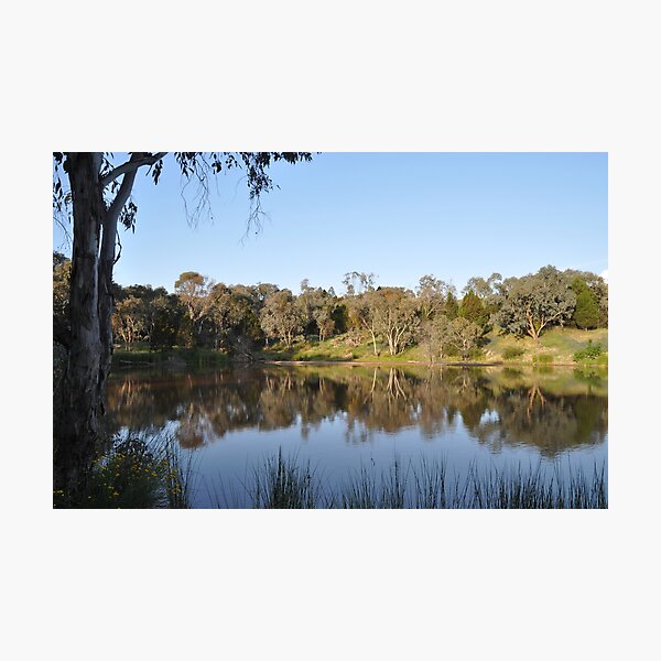 Artikelvorschau, Companys Dam again Grenfell NSW entworfen und verkauft von julie anne grattan.