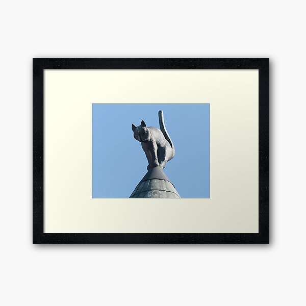 Caught on a roof Framed Art Print