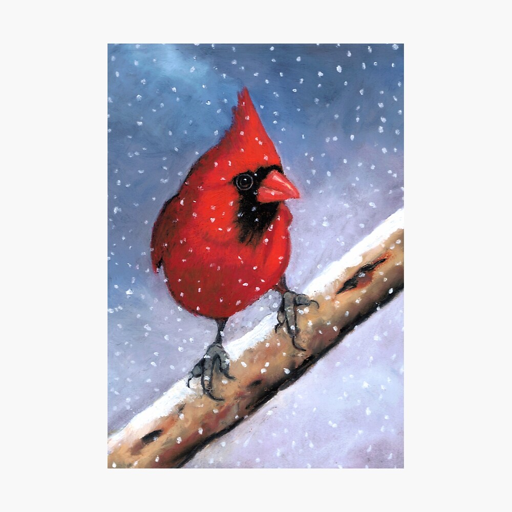 Pair of red birds Northern Cardinals in spring nature. Pastel