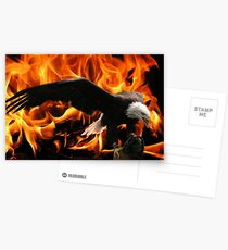 Out of the fire Postcards