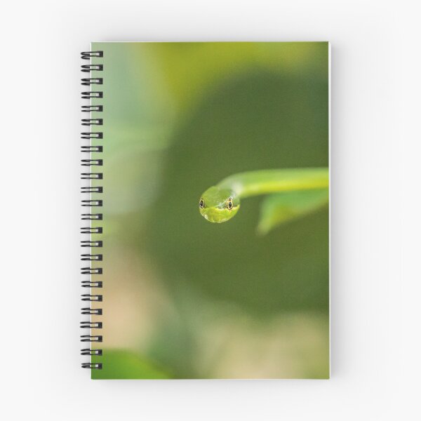 Item preview, Snake culebra verde 2 designed and sold by Nicole Bleck.