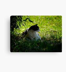 sunday mornings Canvas Print