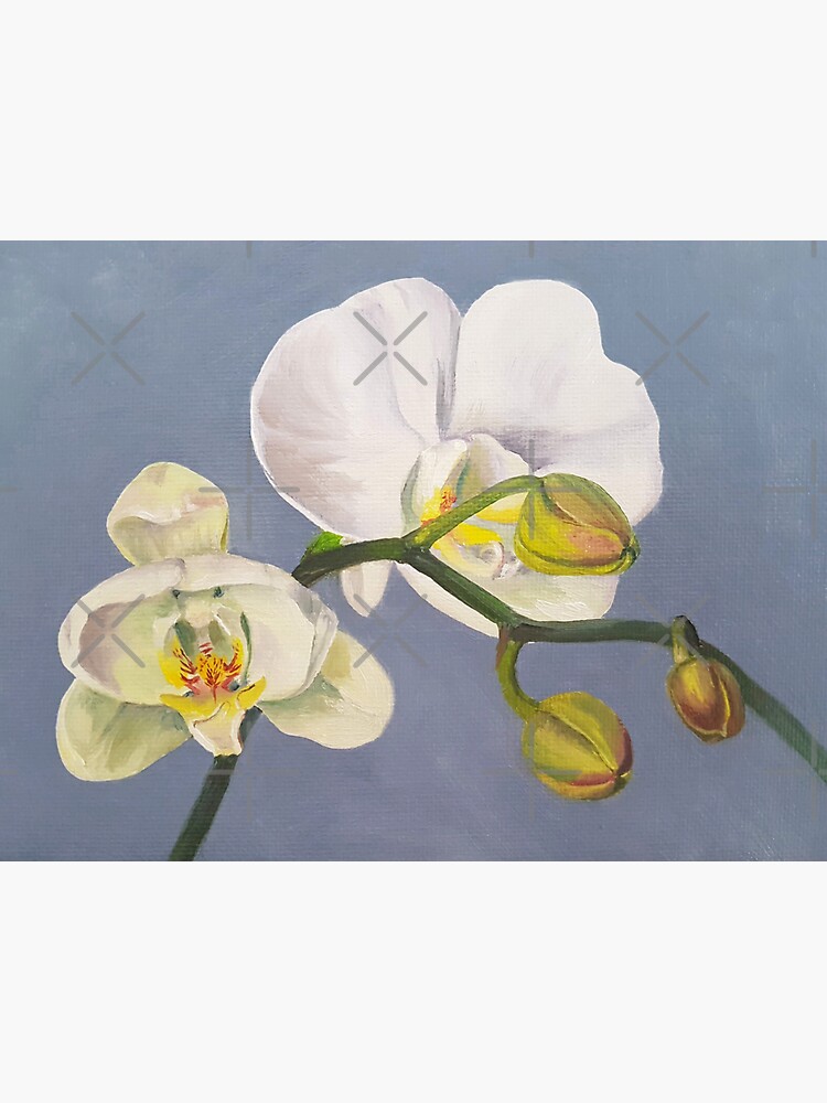 Phaelenopsis - moth orchid painting on blue by EmilyBickell