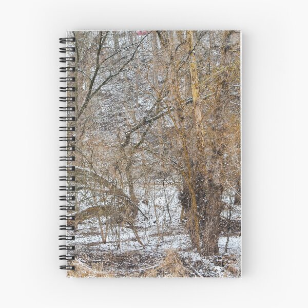 Item preview, Ravine and Stream Winter designed and sold by SRosuphotos.