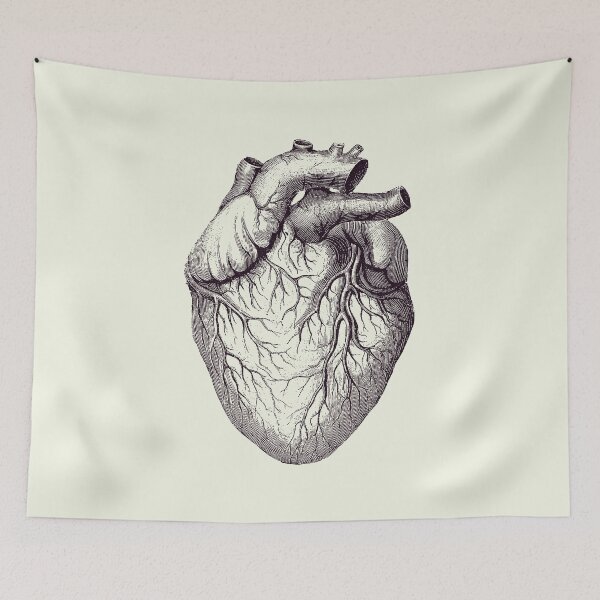 Item preview, Human Heart - Vintage Medical Diagram 2 designed and sold by VAposters.