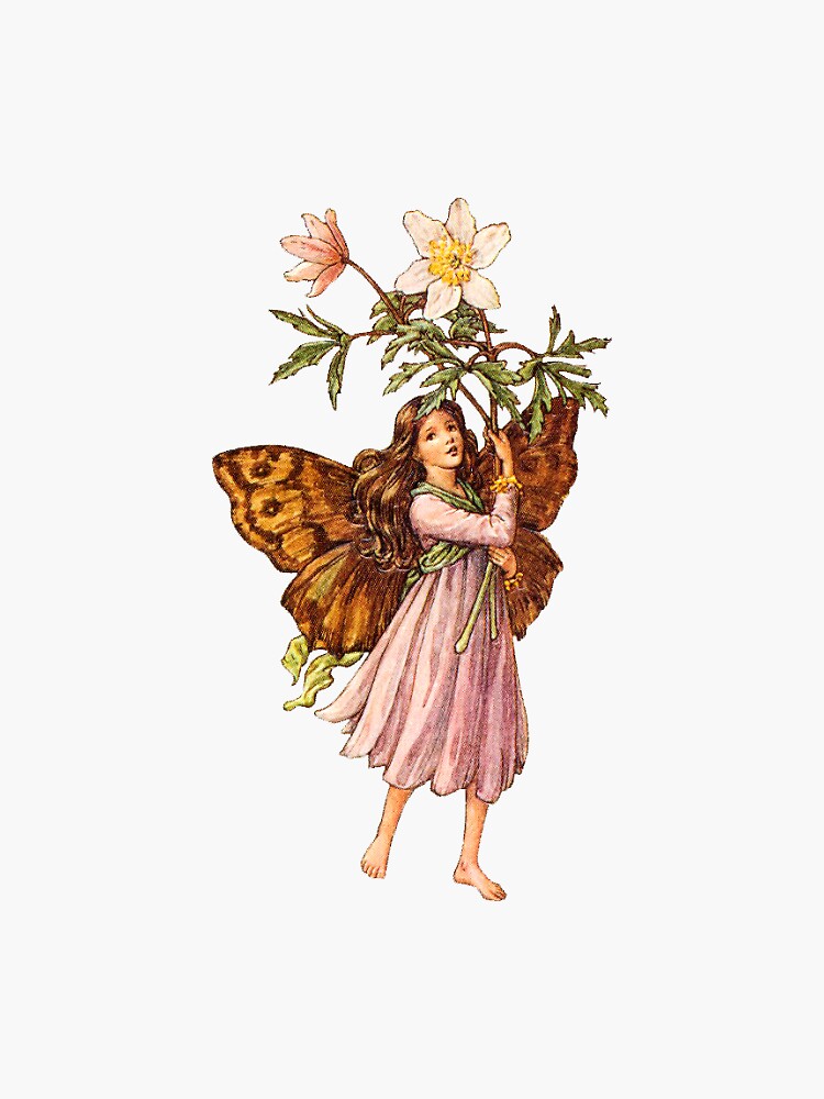 Flower fairies - Flower Fairy books by Cicely Mary Barker by angelslover