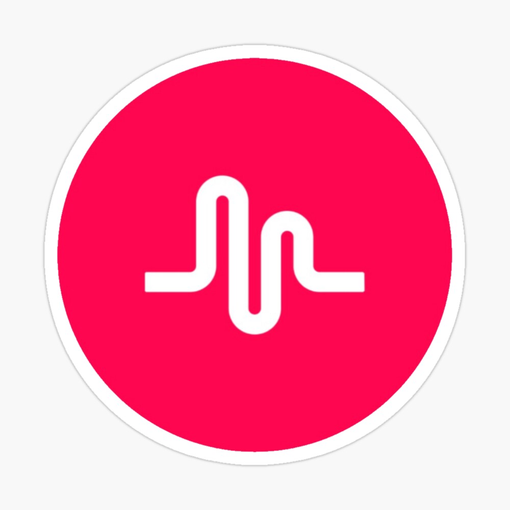 musical.ly Zipper Pouch