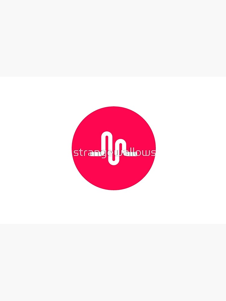 musical.ly Zipper Pouch