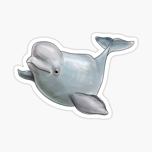 Beluga Whale Swimming Sticker by katdrawsit for iOS & Android