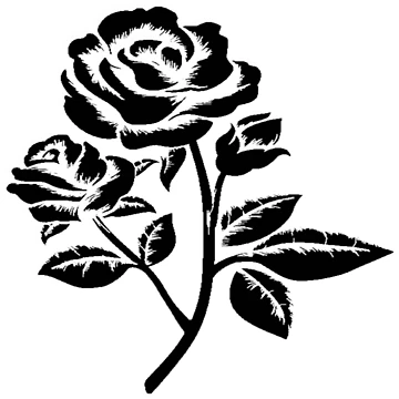 Artwork thumbnail, BW Roses by Doctors-orders