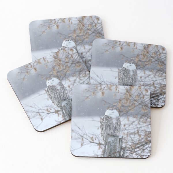 Item preview, Snowy designed and sold by locustgirl.