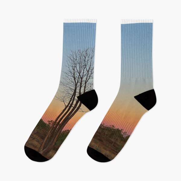 Item preview, Boab trees and moon, Kimberley, Western Australia designed and sold by FranWest.