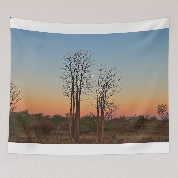 Item preview, Boab trees and moon, Kimberley, Western Australia designed and sold by FranWest.