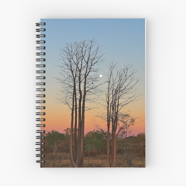 Item preview, Boab trees and moon, Kimberley, Western Australia designed and sold by FranWest.