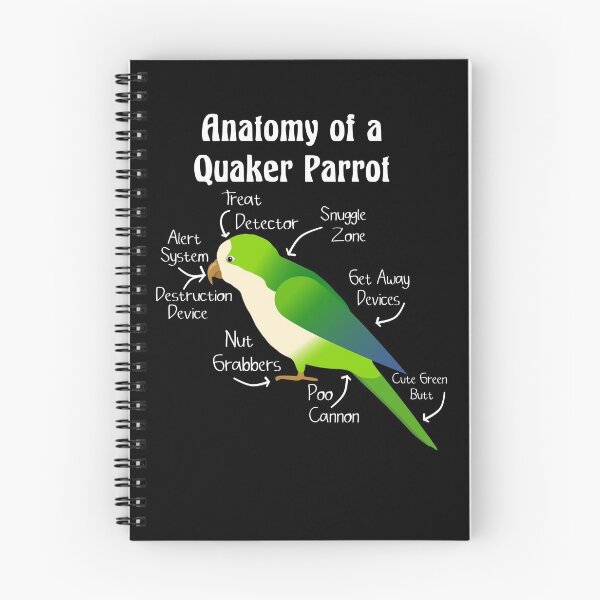 Item preview, Anatomy of Quaker Parrot Monk Parakeet designed and sold by einsteinparrot.