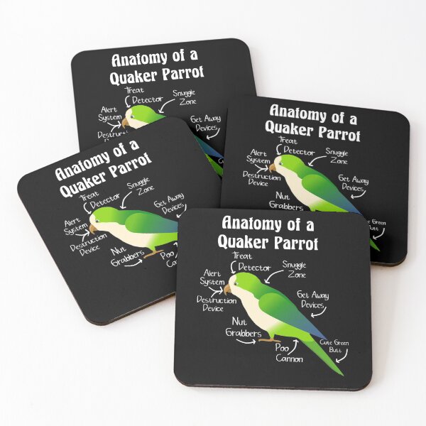 Item preview, Anatomy of Quaker Parrot Monk Parakeet designed and sold by einsteinparrot.
