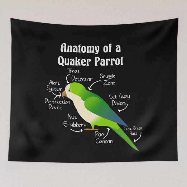 Item preview, Anatomy of Quaker Parrot Monk Parakeet designed and sold by einsteinparrot.