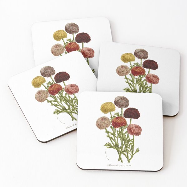 Item preview, Flower scientific illustration print designed and sold by yourlocalltyler.