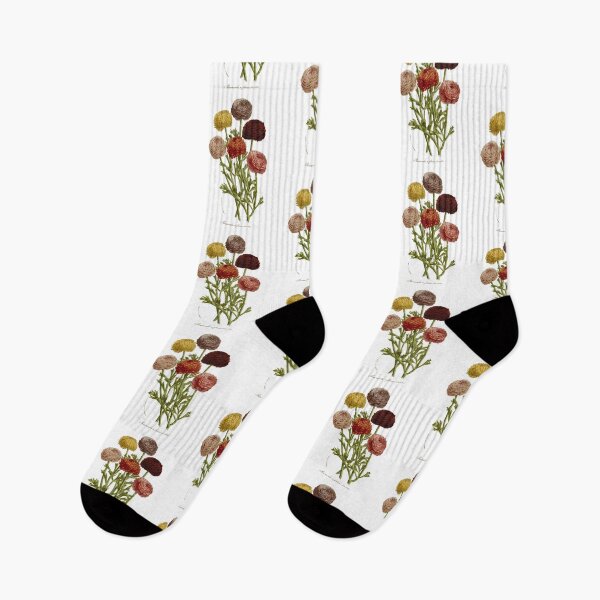 Item preview, Flower scientific illustration print designed and sold by yourlocalltyler.