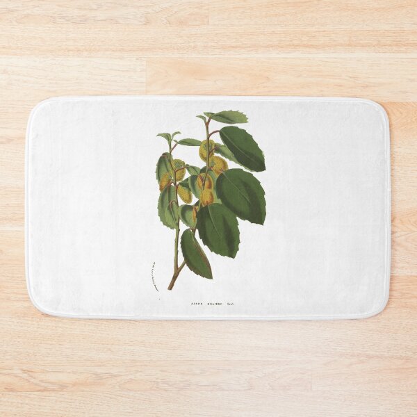 Artikelvorschau, Azara Gilliessii Blumenillustrationsdruck entworfen und verkauft von yourlocalltyler.
