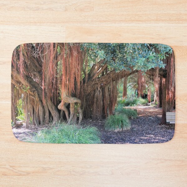 Item preview, Giant Redwoods designed and sold by Margaret Stevens.