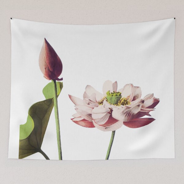 Item preview, Photomechanical Lotus Flowers by Ogawa Kazumasa designed and sold by digitalvintage.