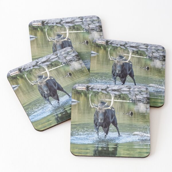 Item preview, Bull Moose Making Its Way Through Water designed and sold by Belinda Greb Photography.