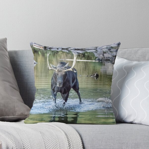 Item preview, Bull Moose Making Its Way Through Water designed and sold by Belinda Greb Photography.