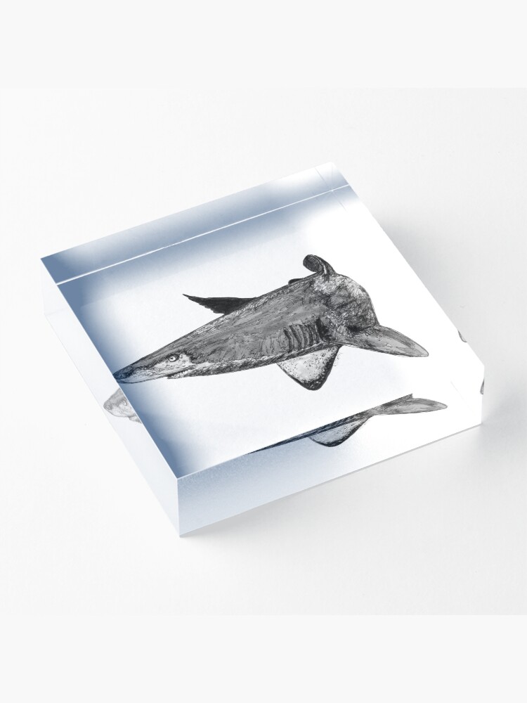 Alternate view of Rel the Grey Nurse Shark Acrylic Block