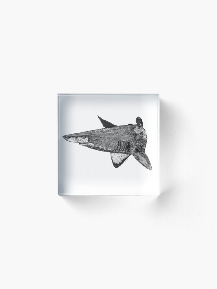 Alternate view of Rel the Grey Nurse Shark Acrylic Block