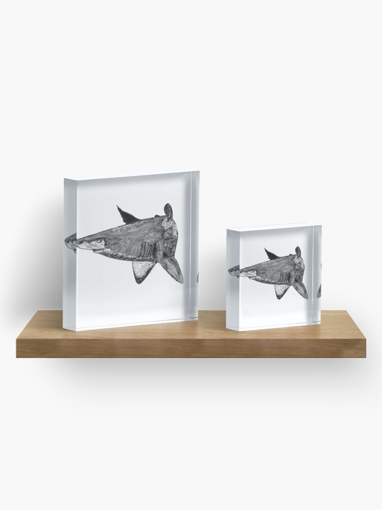 Alternate view of Rel the Grey Nurse Shark Acrylic Block