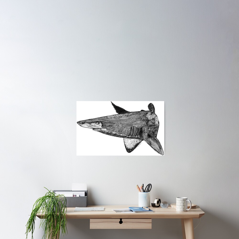 Rel the Grey Nurse Shark Poster