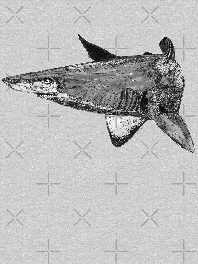 Rel the Grey Nurse Shark by Wildcard-Sue