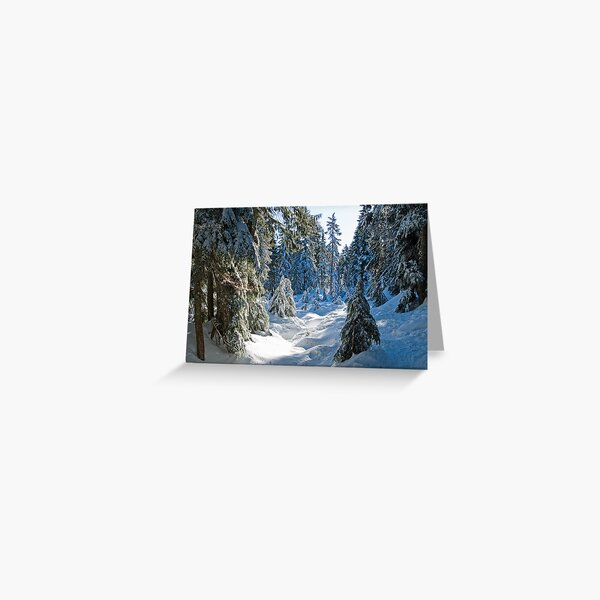 Beautiful BC Winter Day Greeting Card
