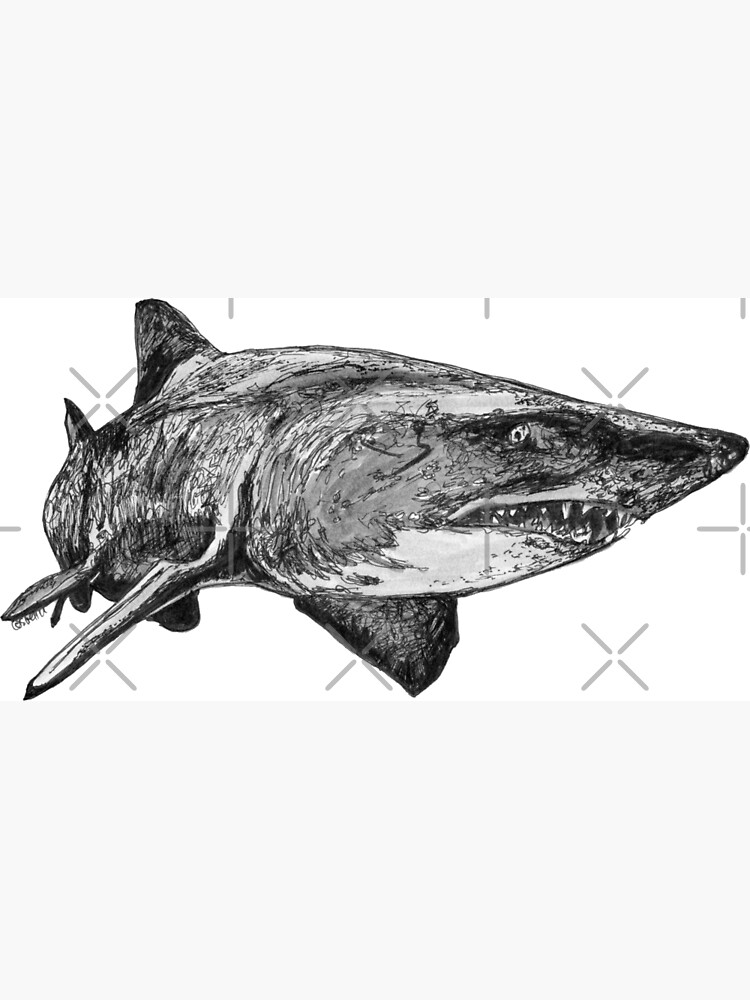 Mark the Grey Nurse Shark by Wildcard-Sue