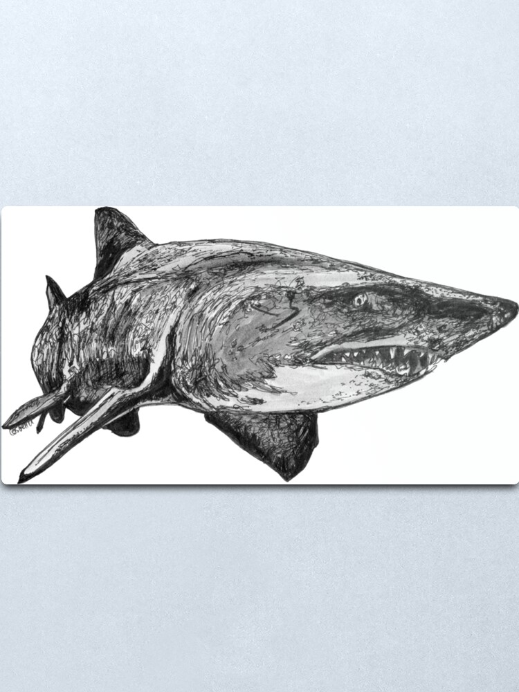 Alternate view of Mark the Grey Nurse Shark Metal Print