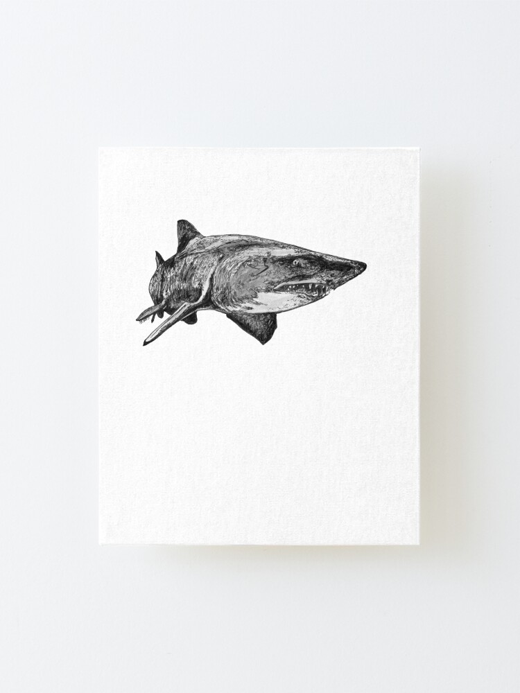 Alternate view of Mark the Grey Nurse Shark Mounted Print