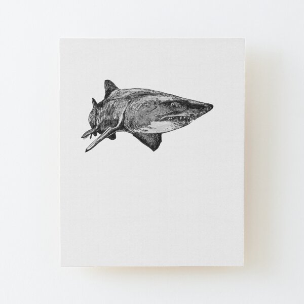 Mark the Grey Nurse Shark Wood Mounted Print