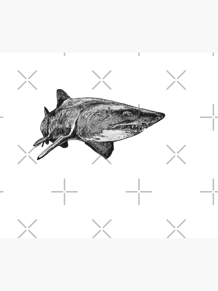 Mark the Grey Nurse Shark by Wildcard-Sue